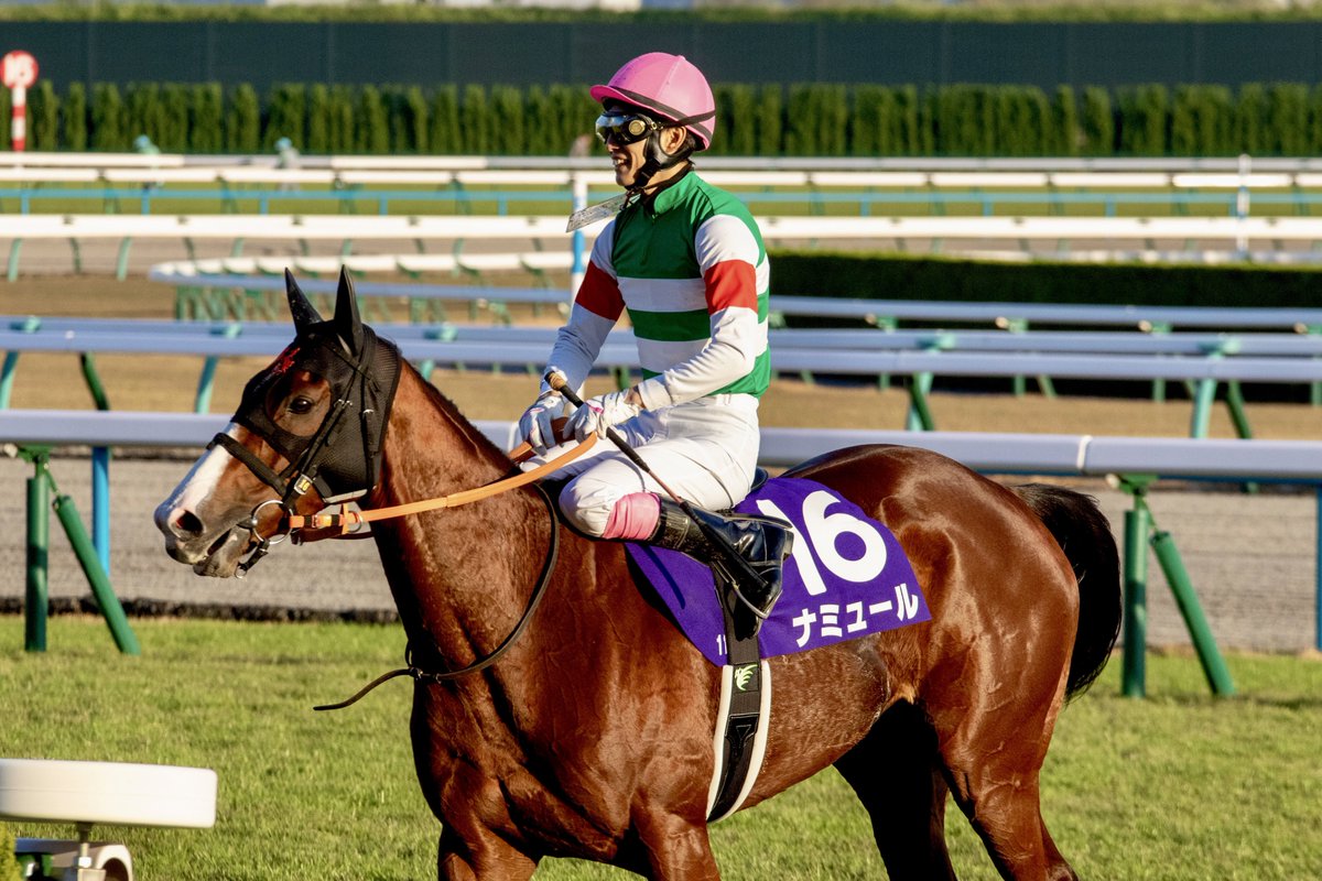 やすてぃ🍥 tweet media