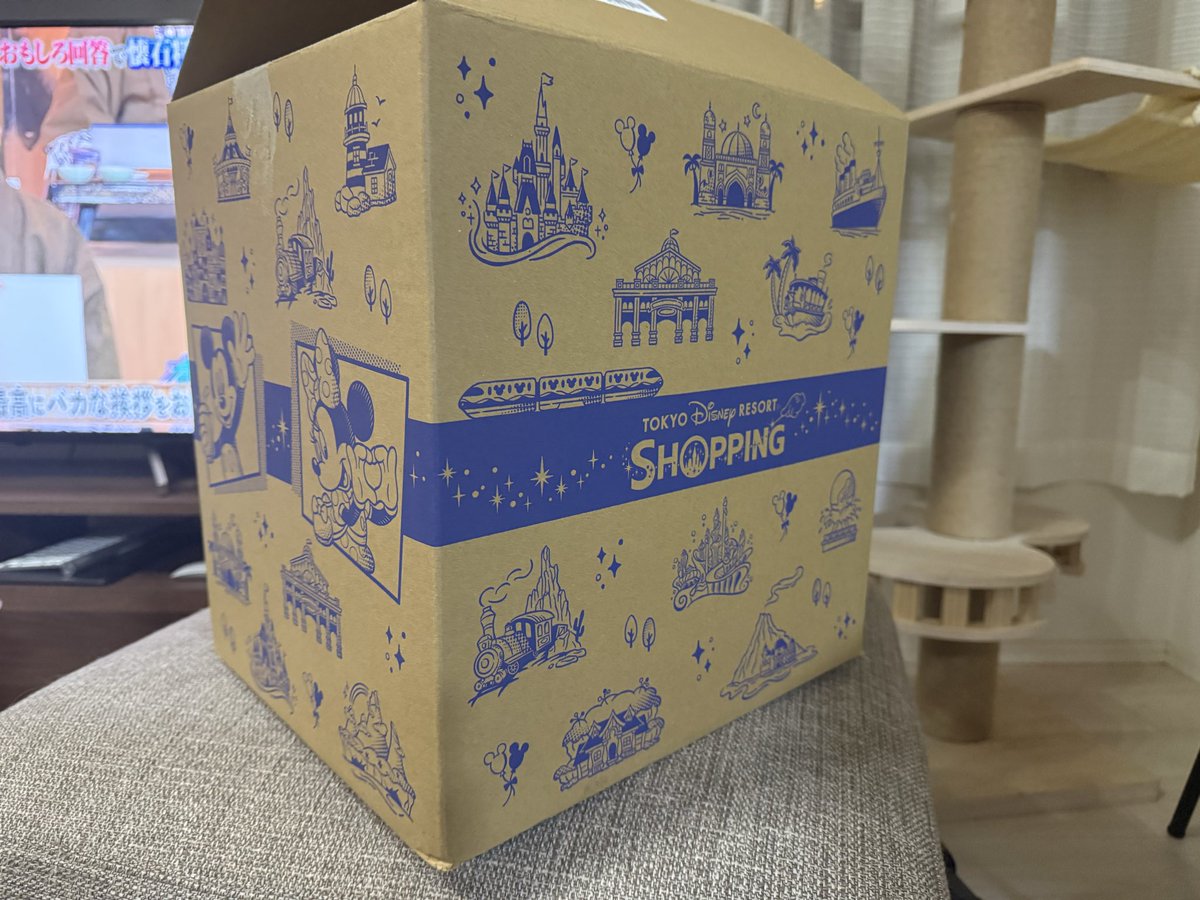 yuco1126's tweet photo. 25周年グッズ届いたー！
段ボールかわいい✨
並べたらネコ襲来🐈‍⬛
#ディズニーシー２５周年 
#スパークリングジュビリー
#ディズニーオンラインショップ
#ネコに踏まれる https://t.co/XH0KZUP82X
