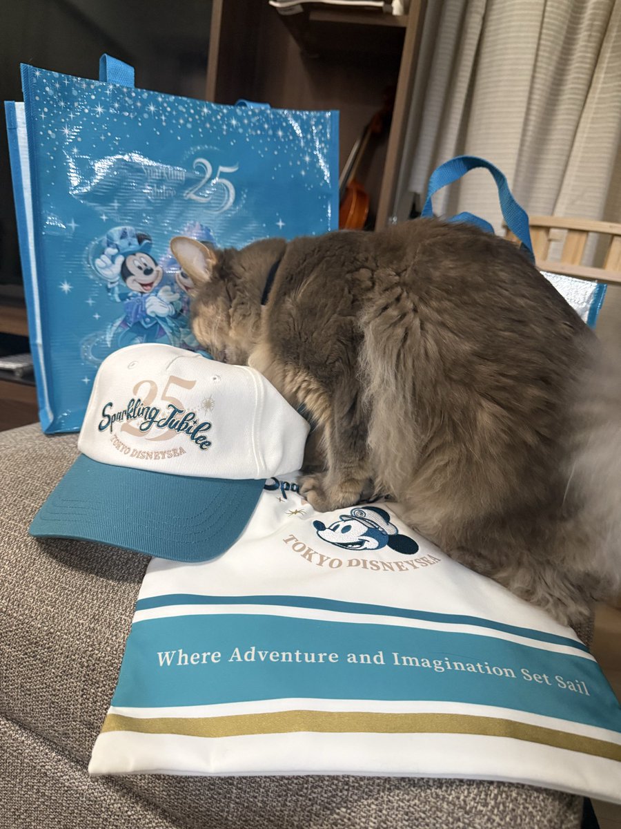 yuco1126's tweet photo. 25周年グッズ届いたー！
段ボールかわいい✨
並べたらネコ襲来🐈‍⬛
#ディズニーシー２５周年 
#スパークリングジュビリー
#ディズニーオンラインショップ
#ネコに踏まれる https://t.co/XH0KZUP82X