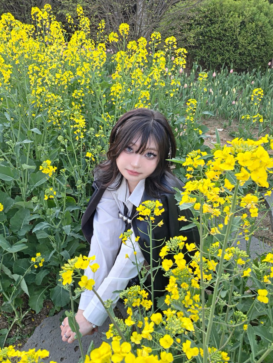 호야 tweet media