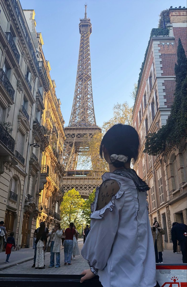 Maplef 猫扑枫(Fragile Tetrapod Catcher) tweet media