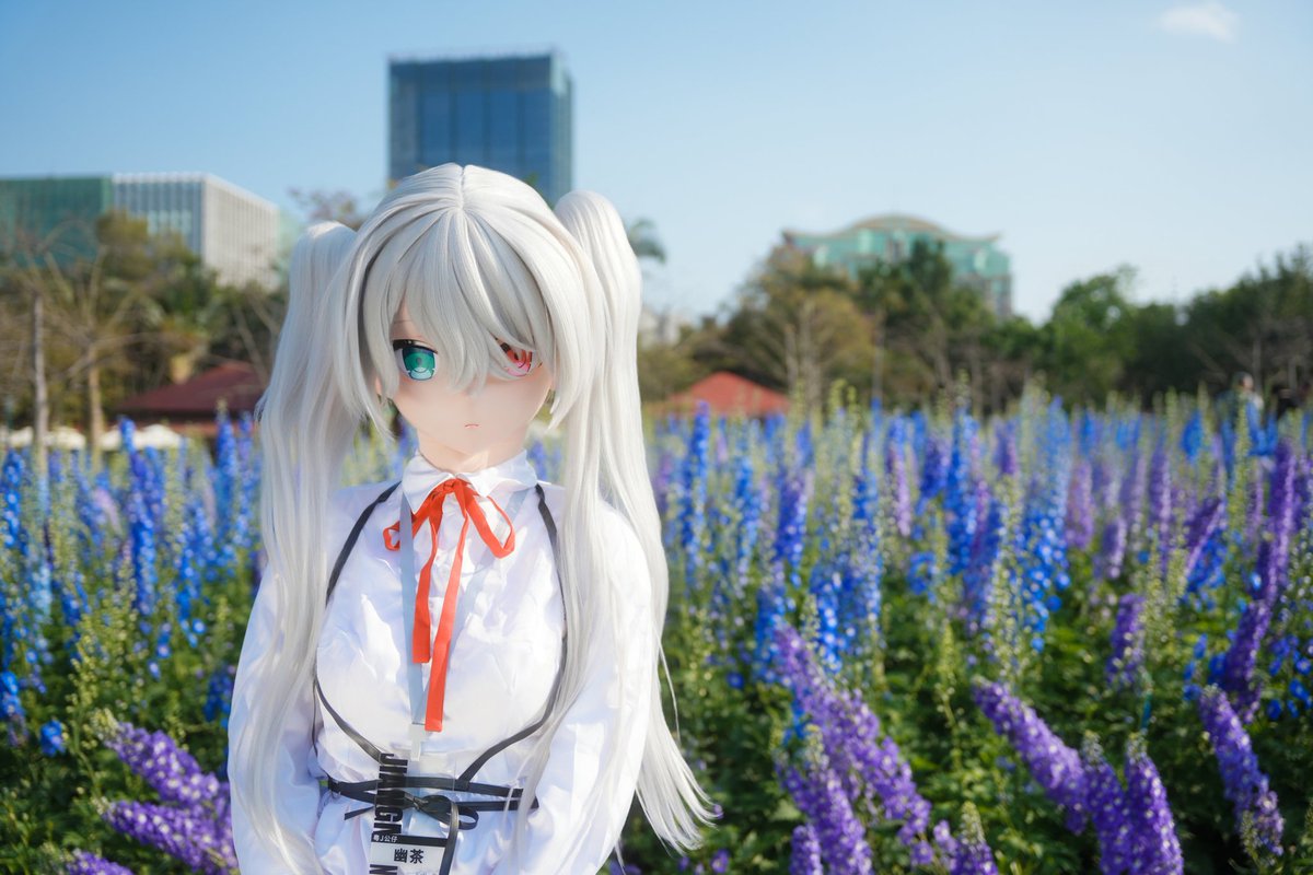 幽茶 tweet media