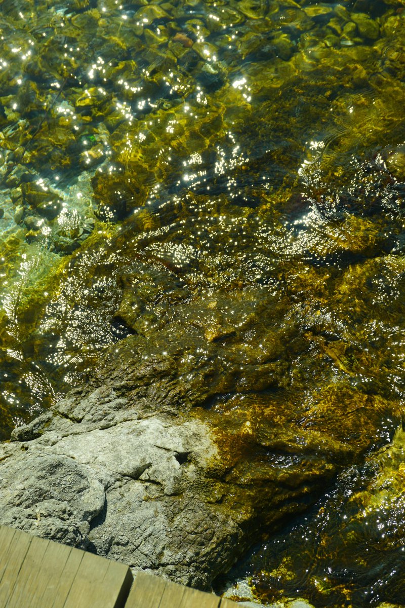 Aditya Pratap Singh tweet media