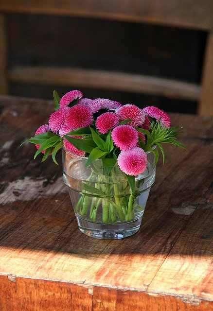 aslam8082's tweet photo. #NatureBeauty #NatureIsAmazing #flower #flowery #flowerpot https://t.co/Bz3C8PTCip