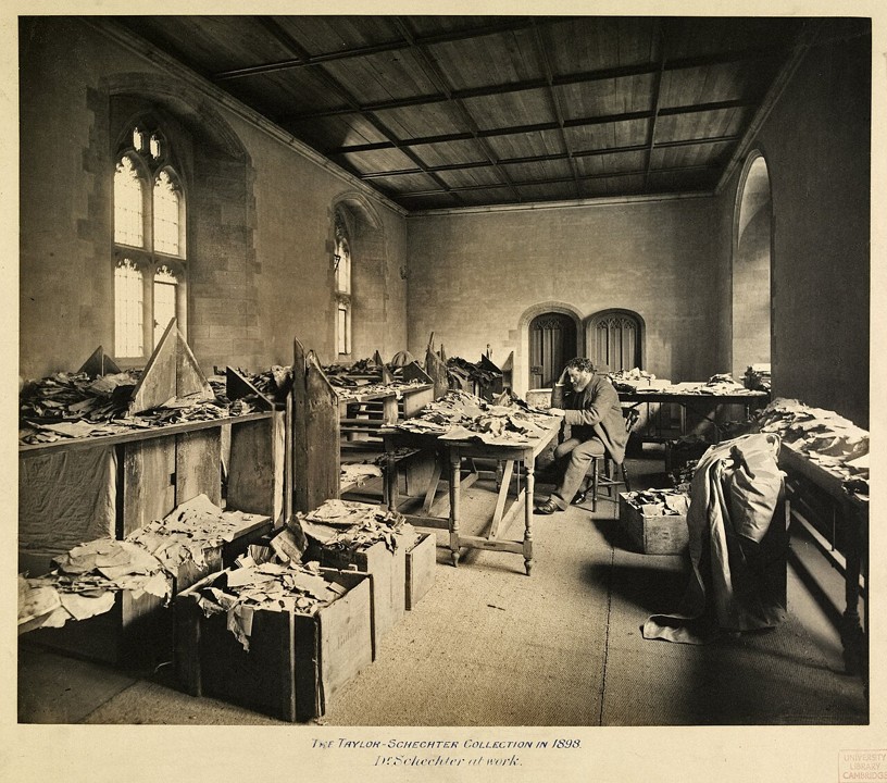 Yukiko Kawamoto tweet media