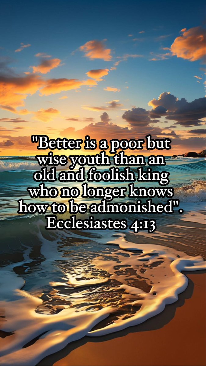 nelsonbibit tweet media