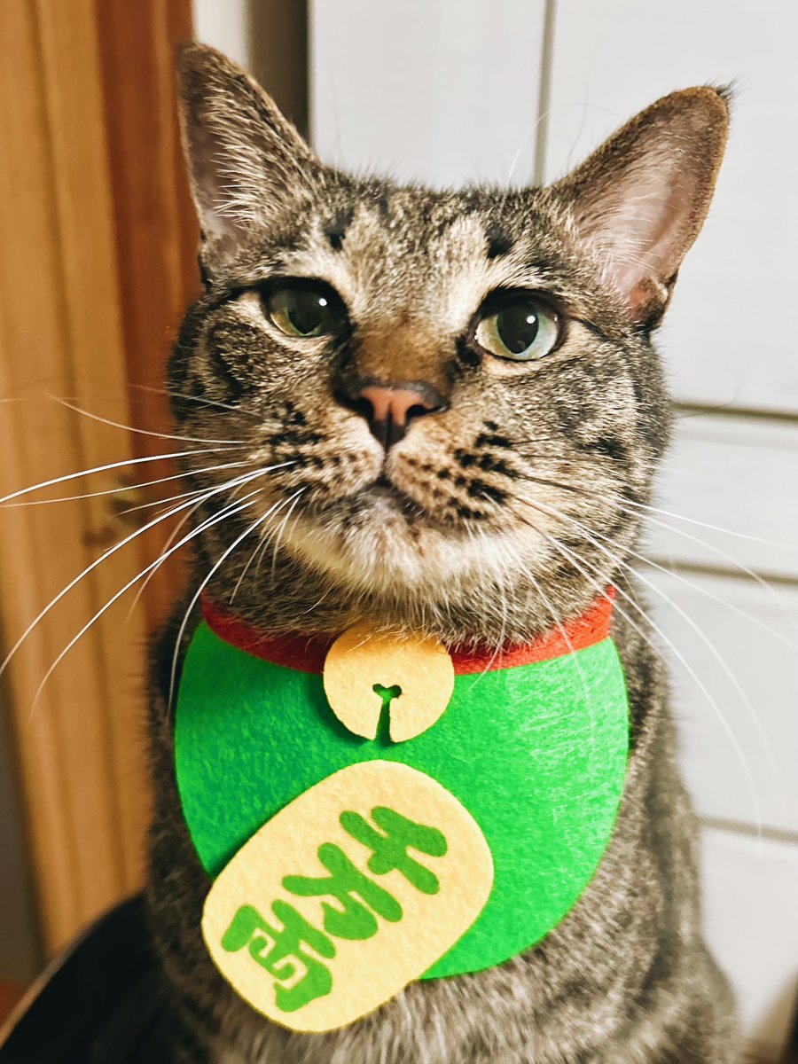 𝙇𝙊𝙉 tweet media