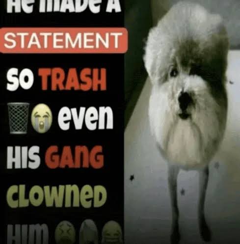 Juan Pablo🇲🇽🏳️⚧️✝️✌️ tweet media