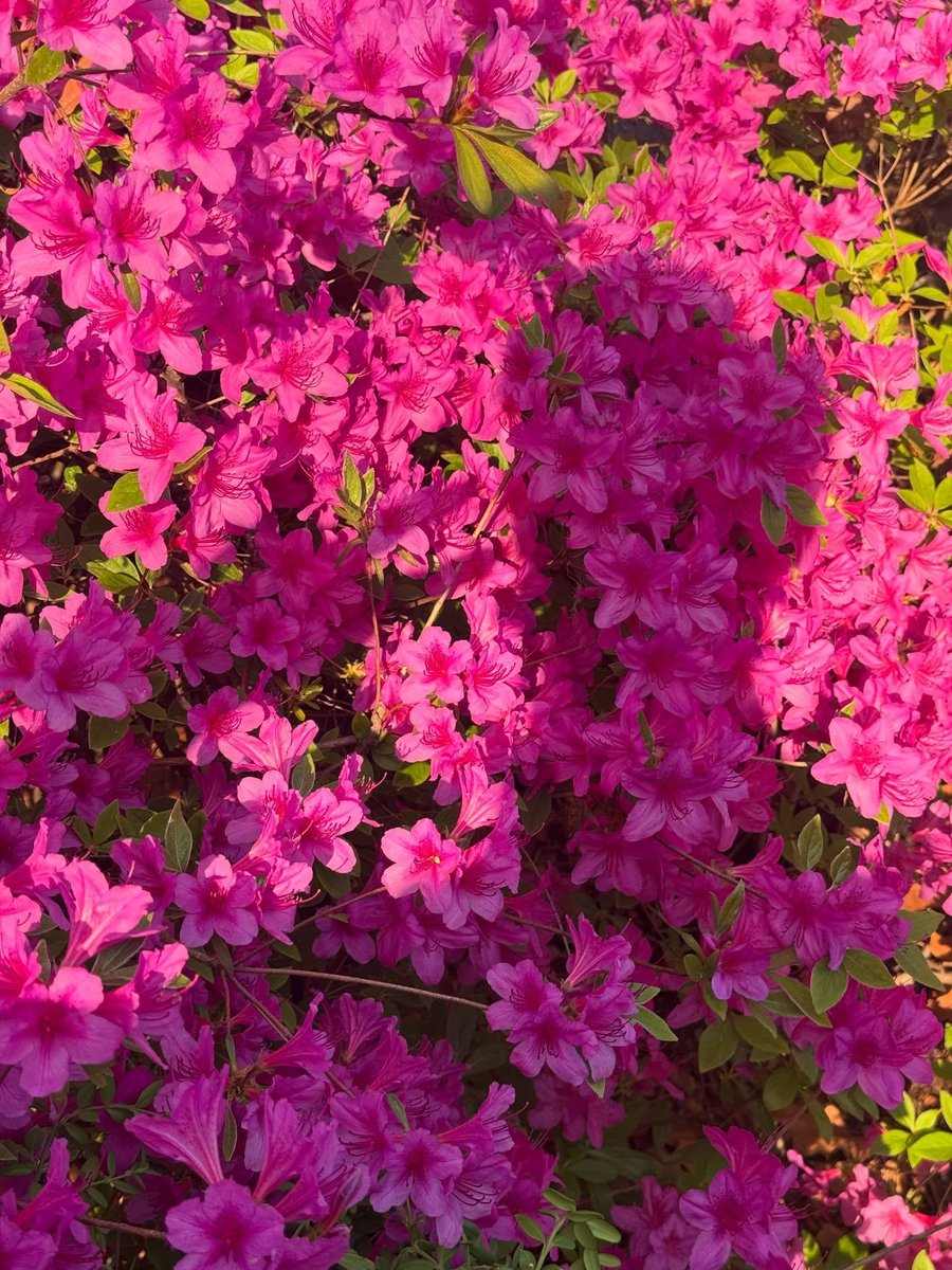 기광인스타 tweet media