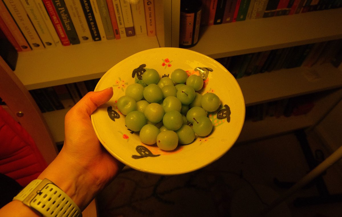 Jiya 🦚 tweet media