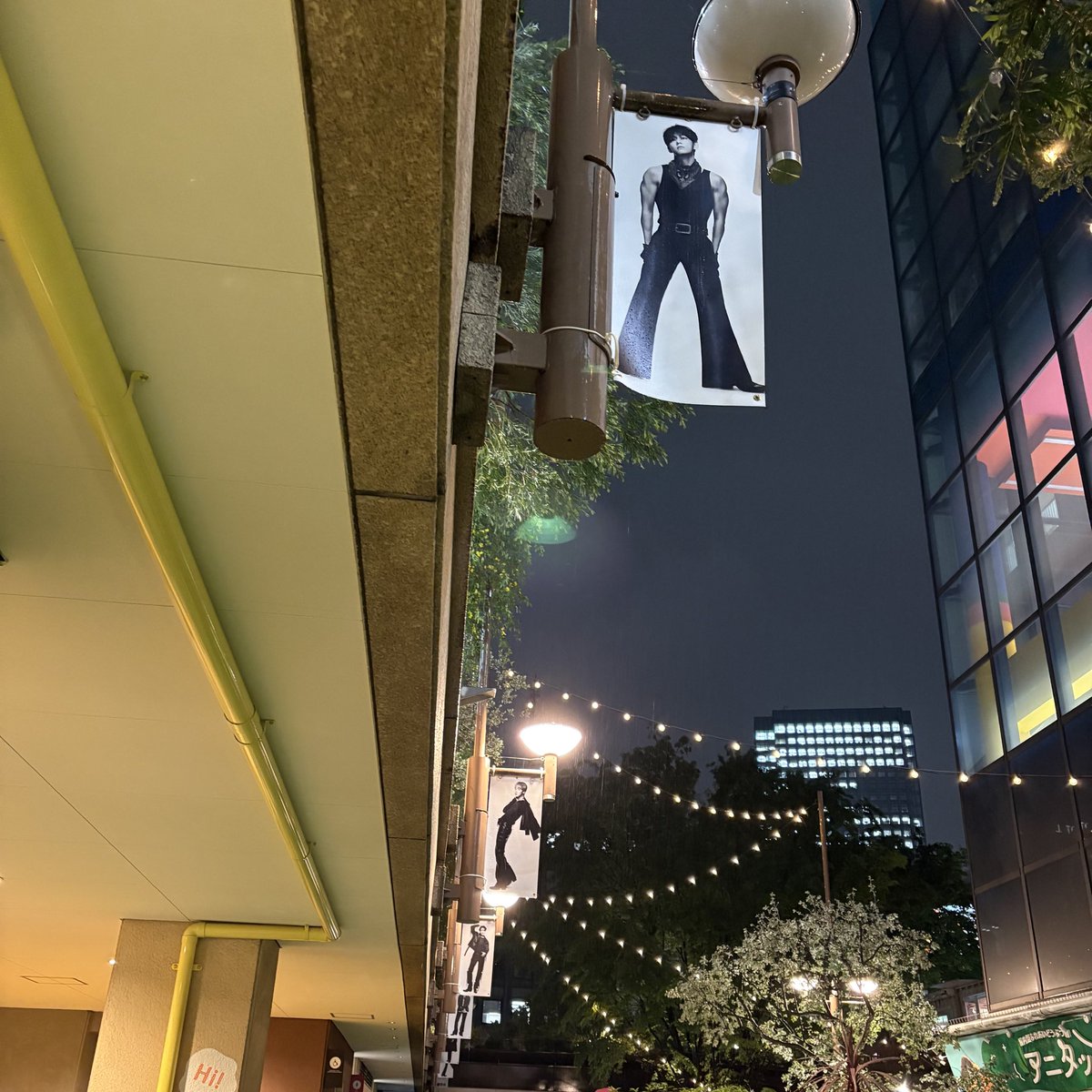 sayoko mita tweet media