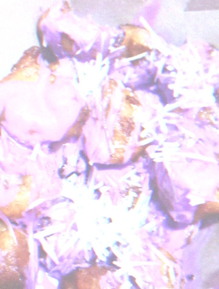 sisi acai juju 🍵 tweet media