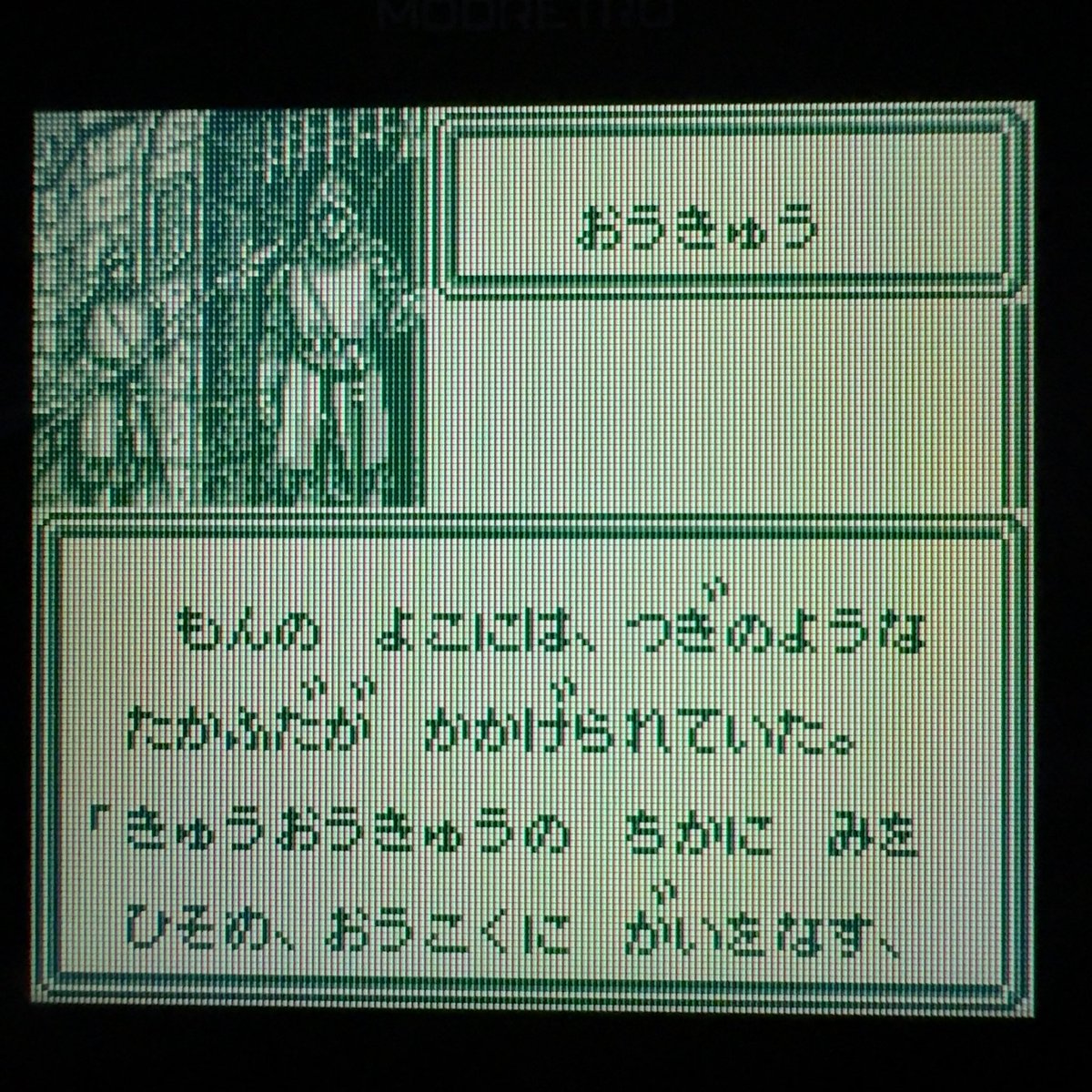 Blaze部族 tweet media