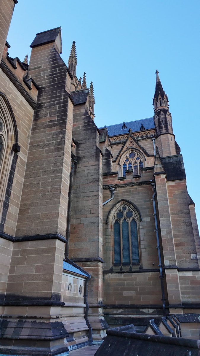 せんぼ tweet media