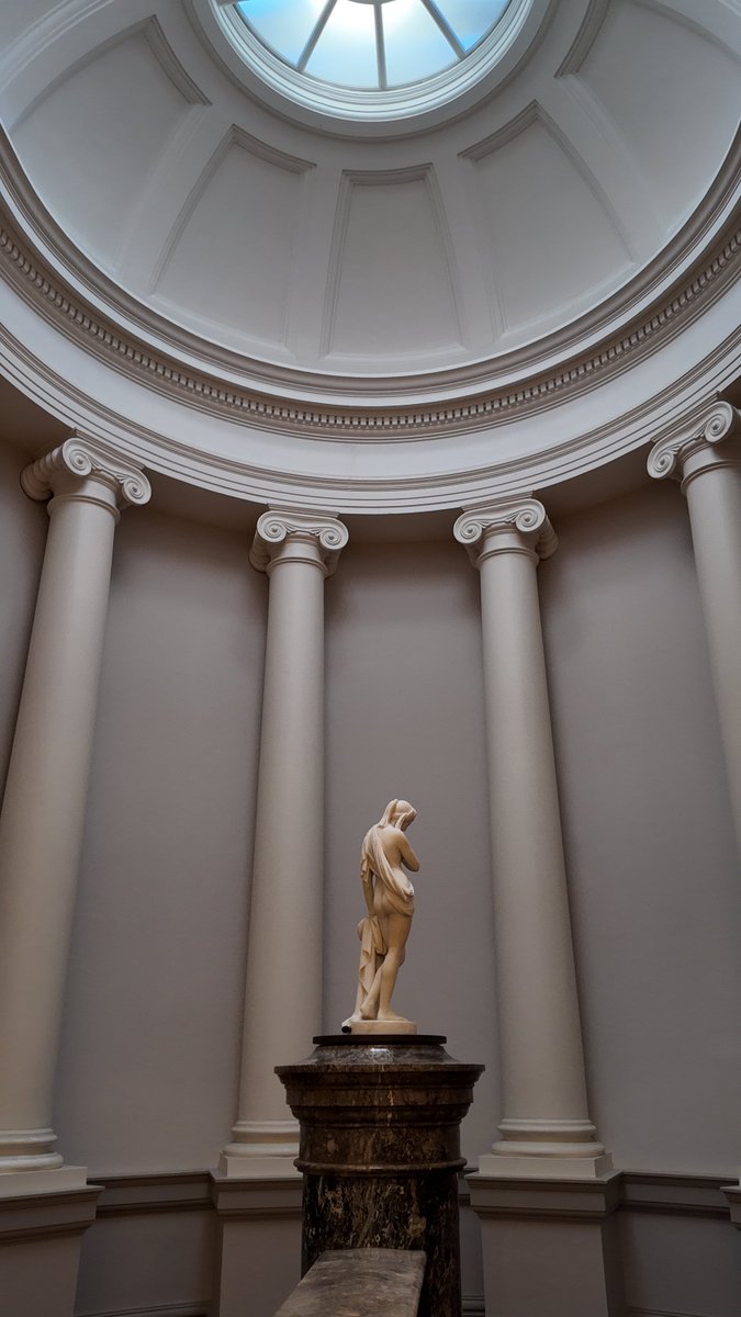 せんぼ tweet media