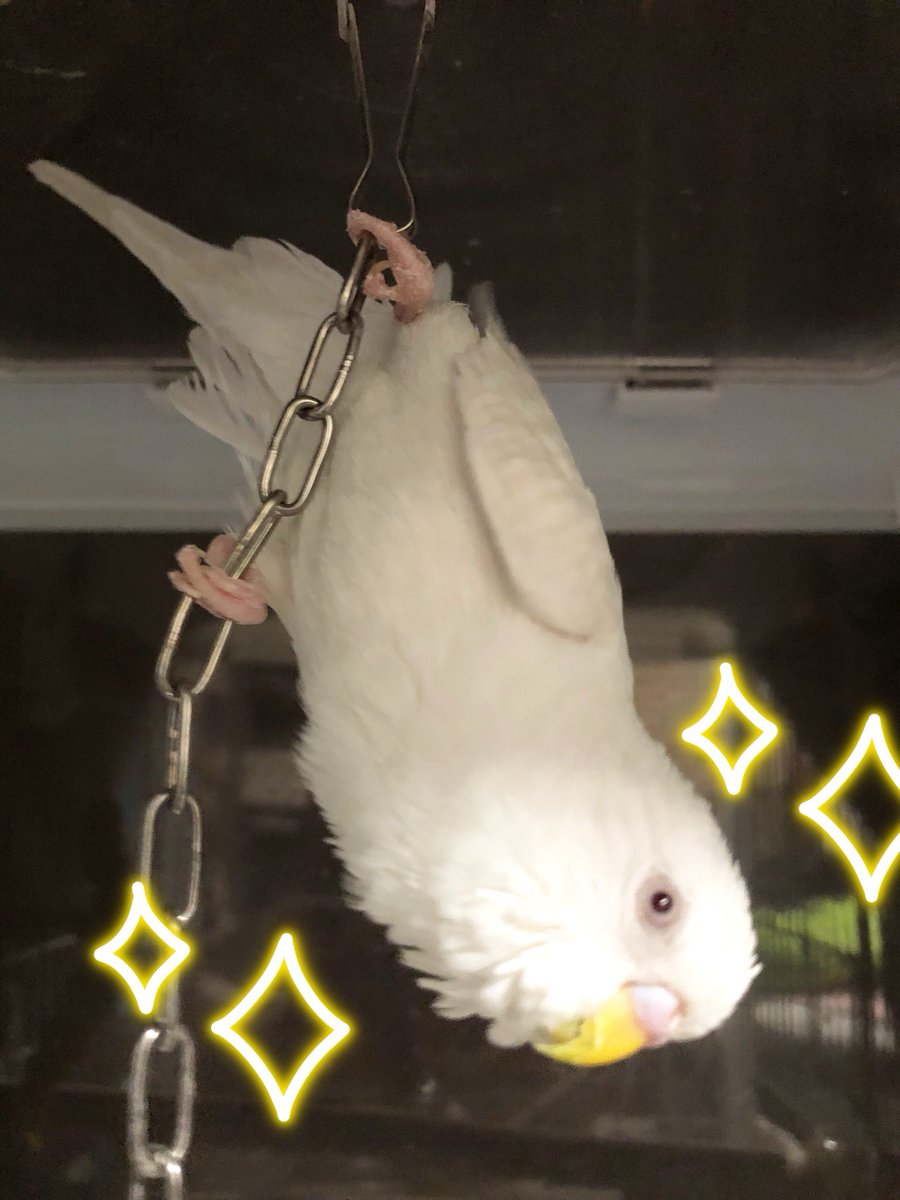 𝕞𝕚𝕪𝕦𝕜𝕚 tweet media