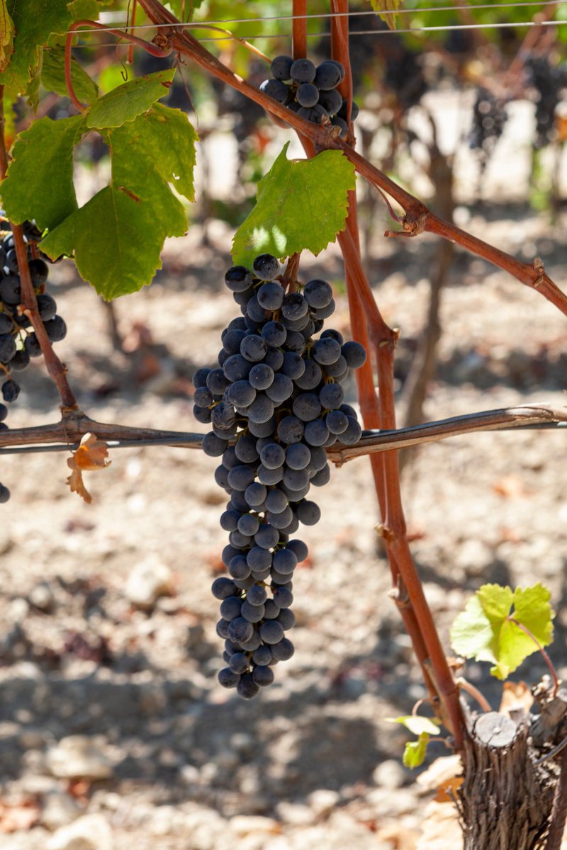 Visit Sicily tweet media