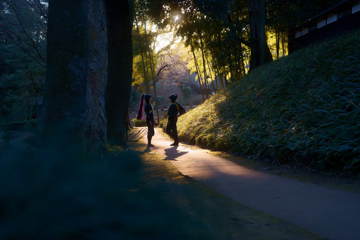 きなこもち📷 tweet media