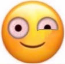 Li 🏁🏳️‍🌈🇵🇸 tweet media