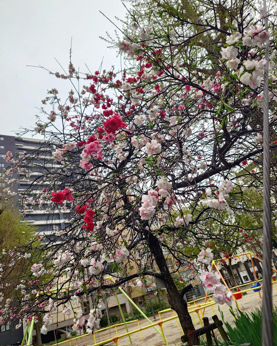 TAKA-KAJI tweet media