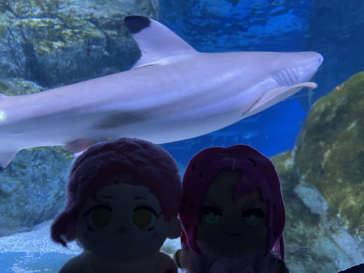 MILLY #diadopnation 🩷💜 tweet media