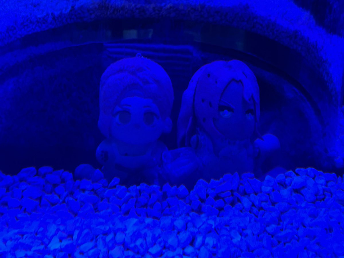 MILLY #diadopnation 🩷💜 tweet media