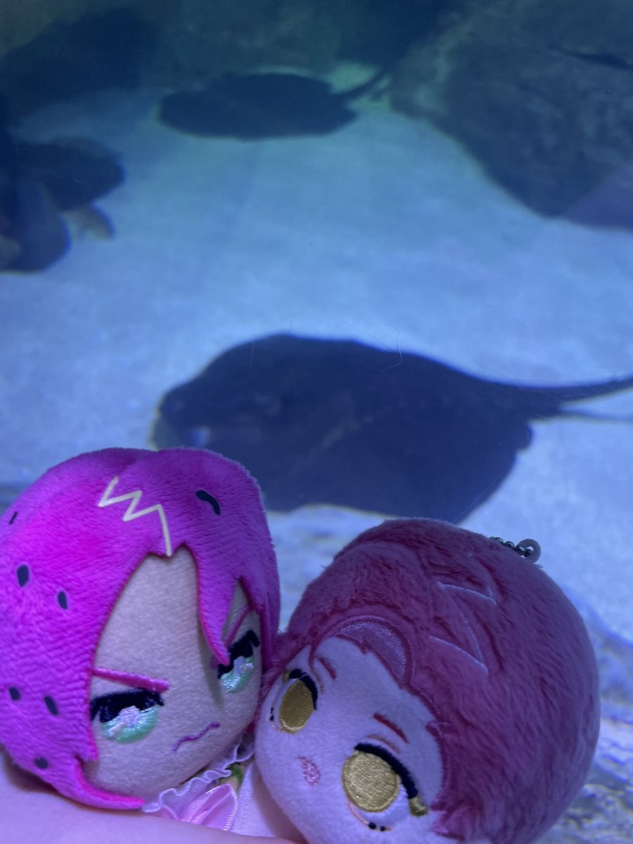 MILLY #diadopnation 🩷💜 tweet media