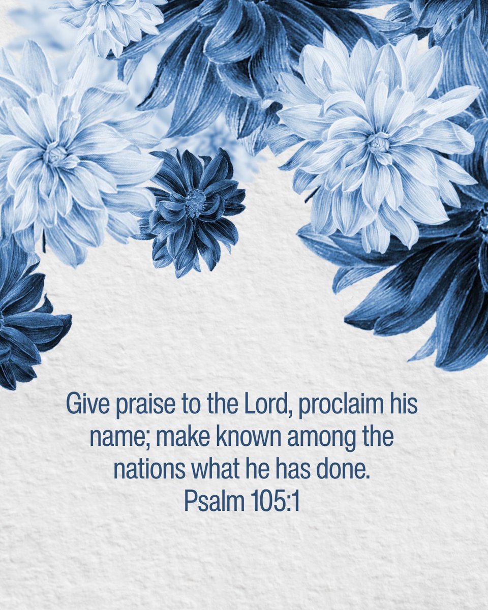 Helen Shannon tweet media