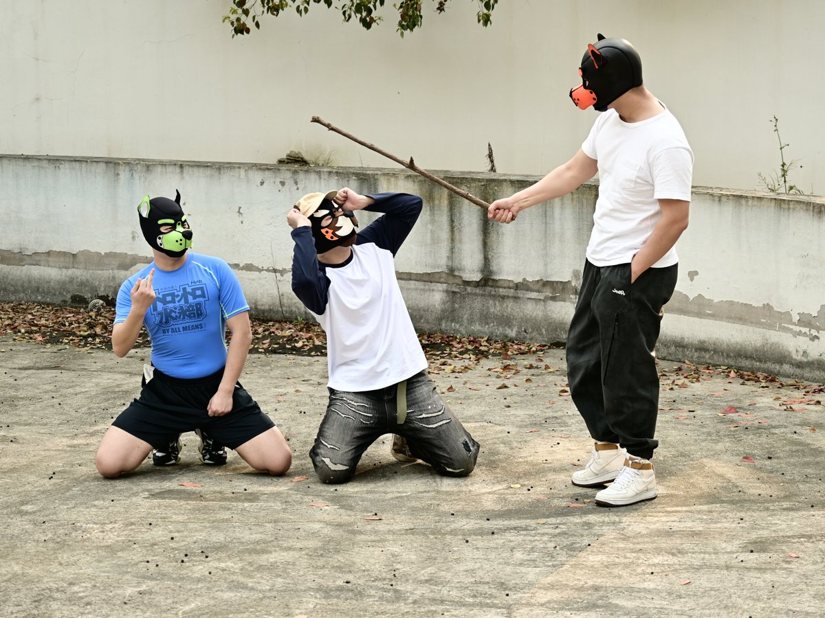 小枫同学 tweet media