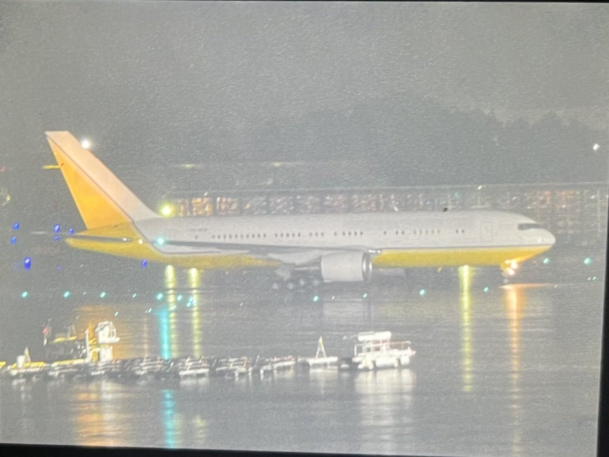 Springbok tweet media