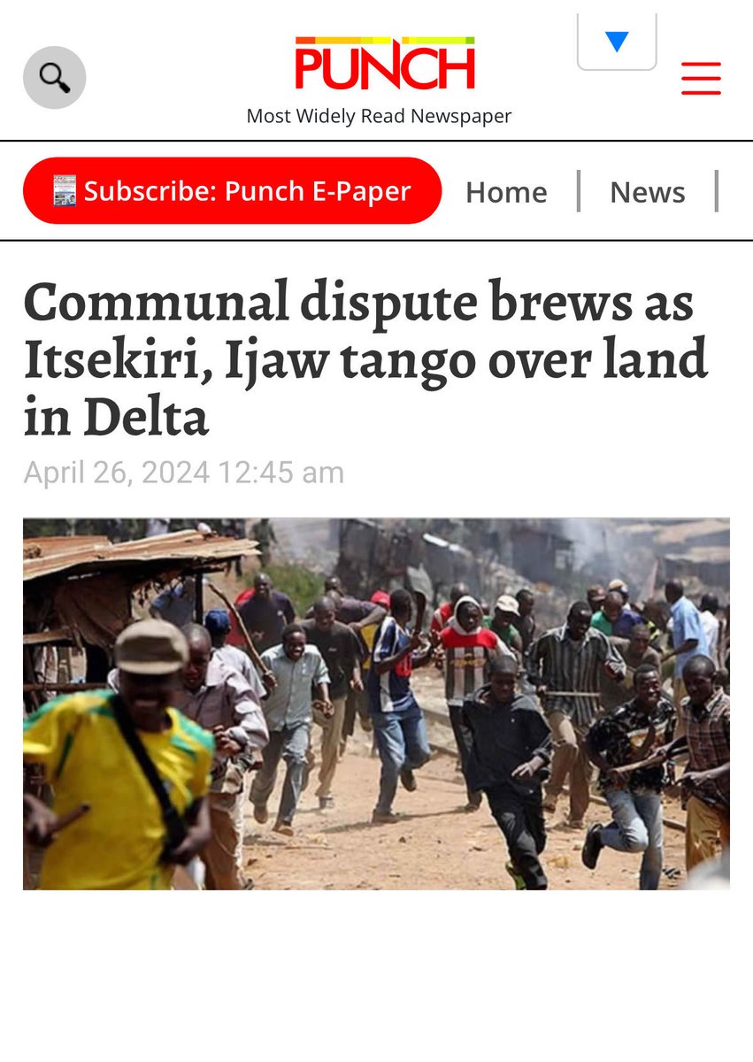 D’King- NG breed tweet media