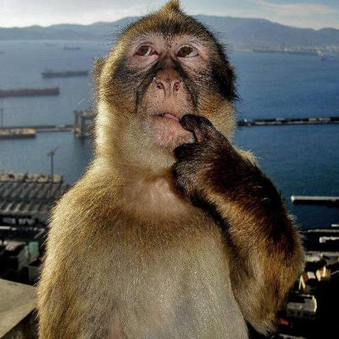 RustClash tweet media