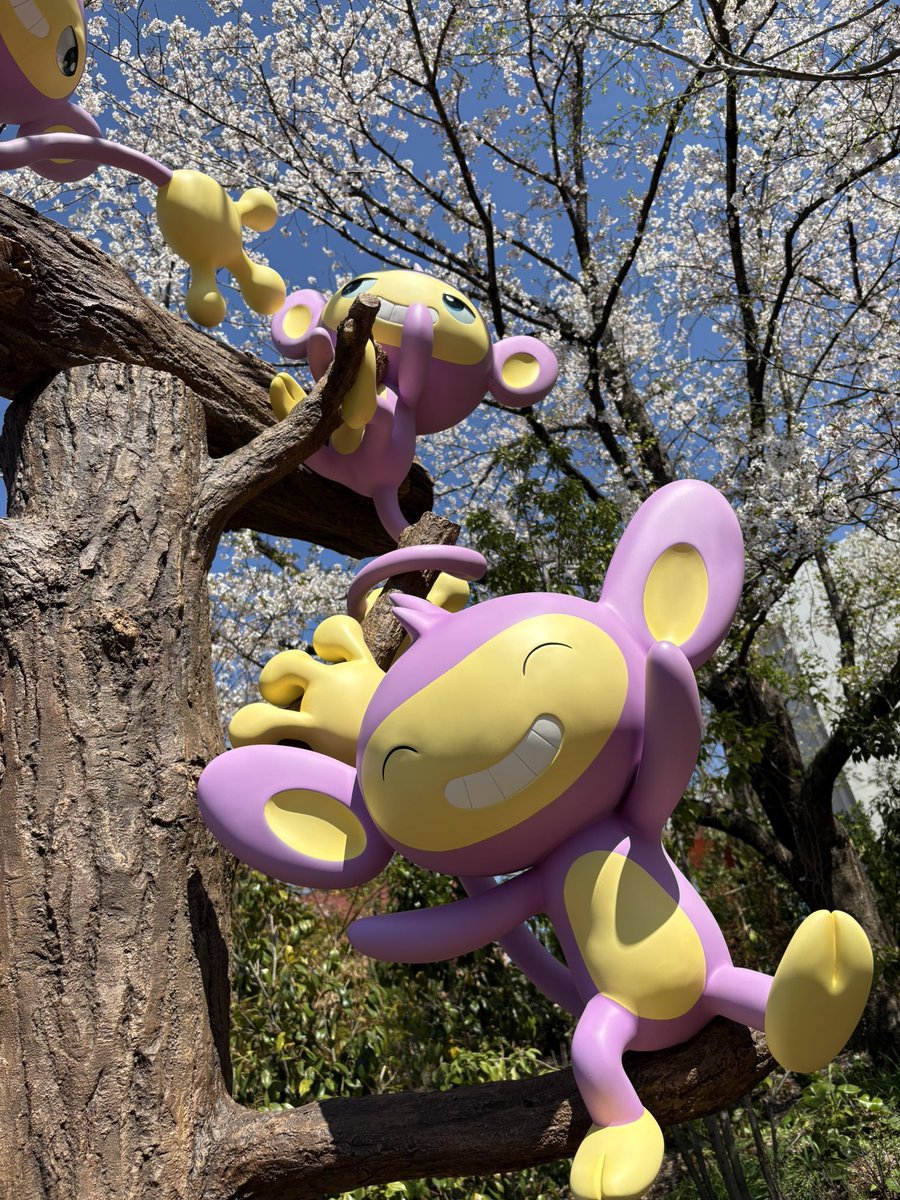 マルパ🍦 tweet media