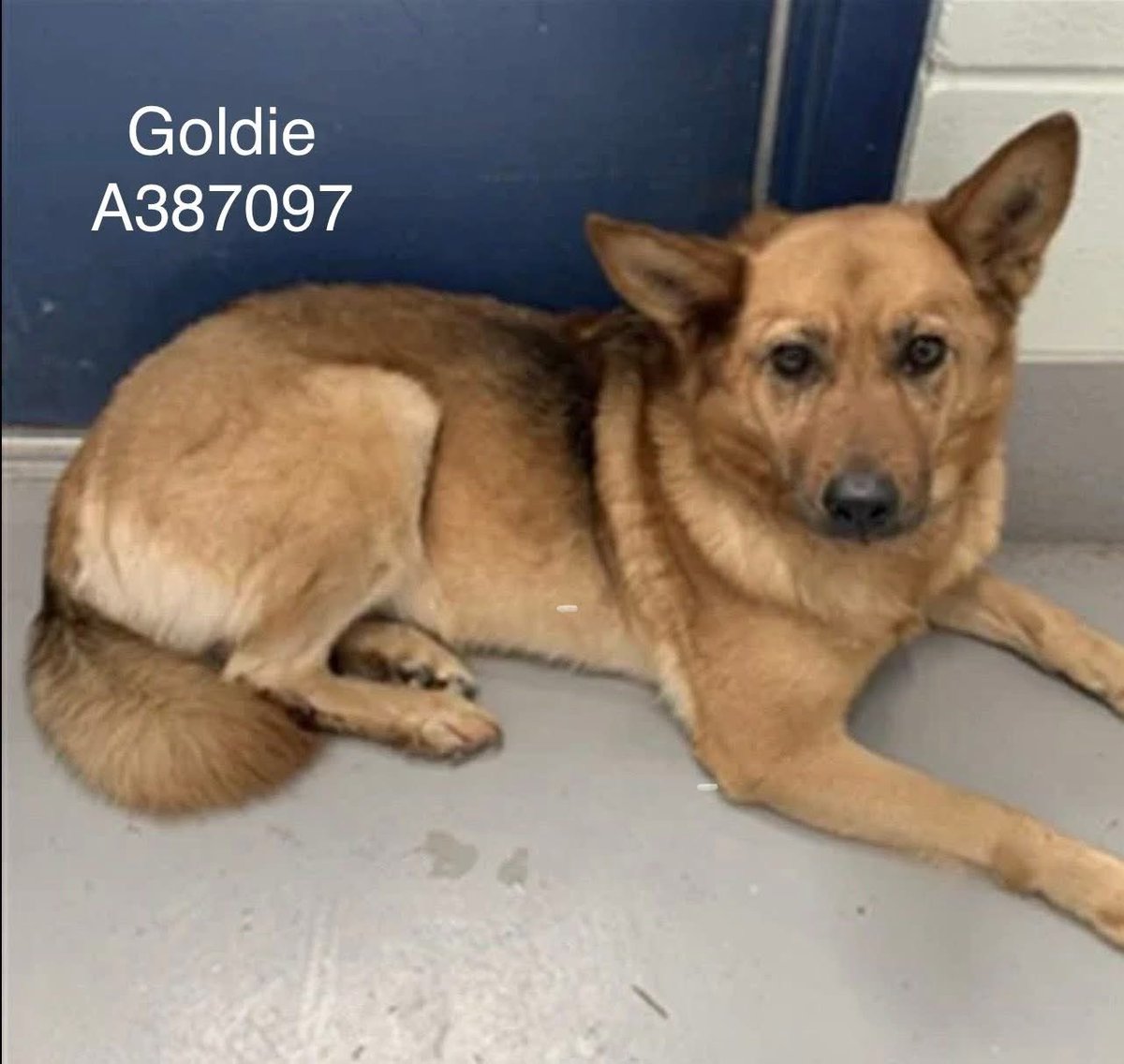 Lisa Brabson. tweet media