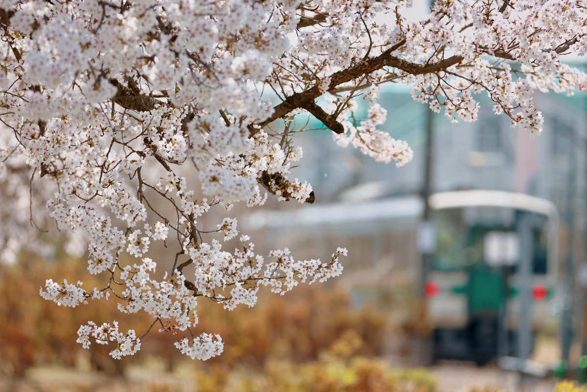 じ ー か ー 【公式】 tweet media