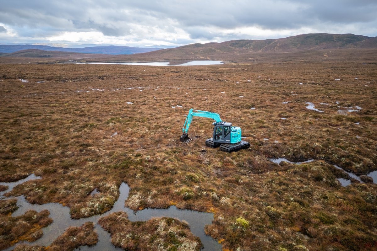 Trees for Life tweet media