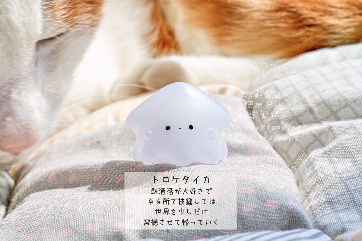 きこのま🌟通販中 (@kikonoma_tmhmkt) / Posts / X