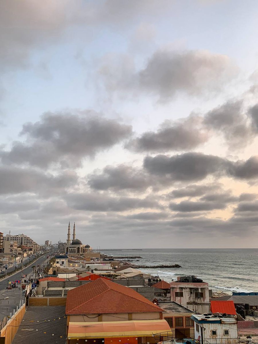 سَارّة tweet media