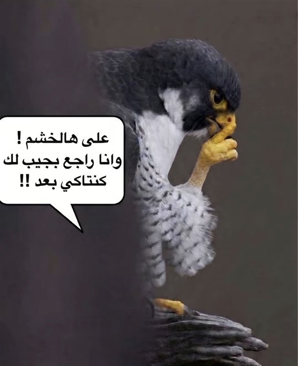 3gmw's tweet photo. @thchsun الجودة الي تناسبك https://t.co/RzVaxGpV5M