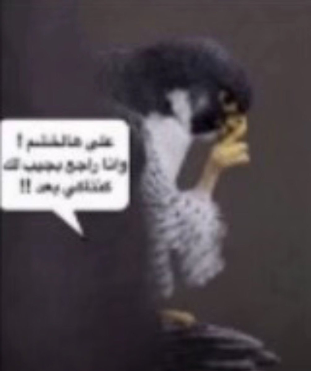 3gmw's tweet photo. @thchsun الجودة الي تناسبك https://t.co/RzVaxGpV5M