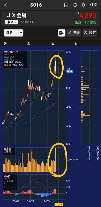 高瀬 |初心者向けガイド tweet media
