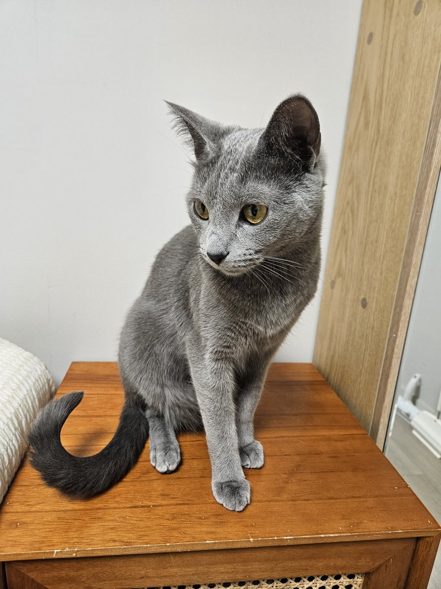 우리 심심해 놀아줘