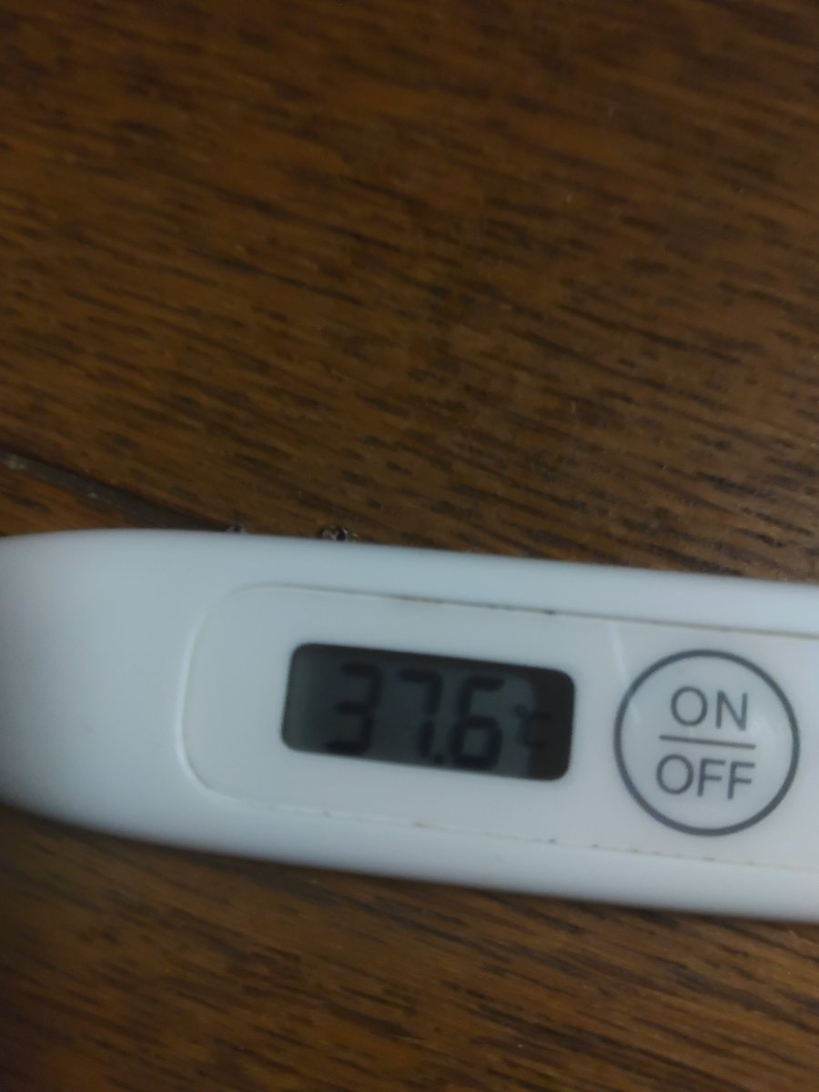 サラセニア tweet media