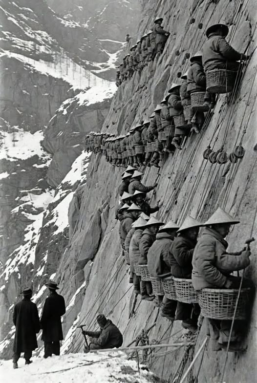 James Tate tweet media