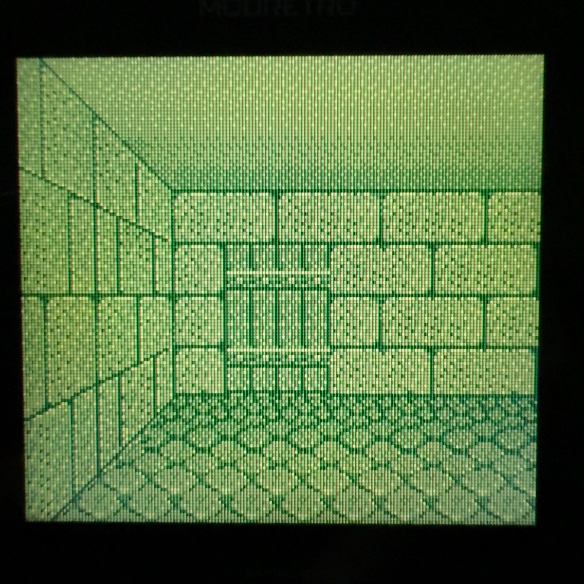 Blaze部族 tweet media