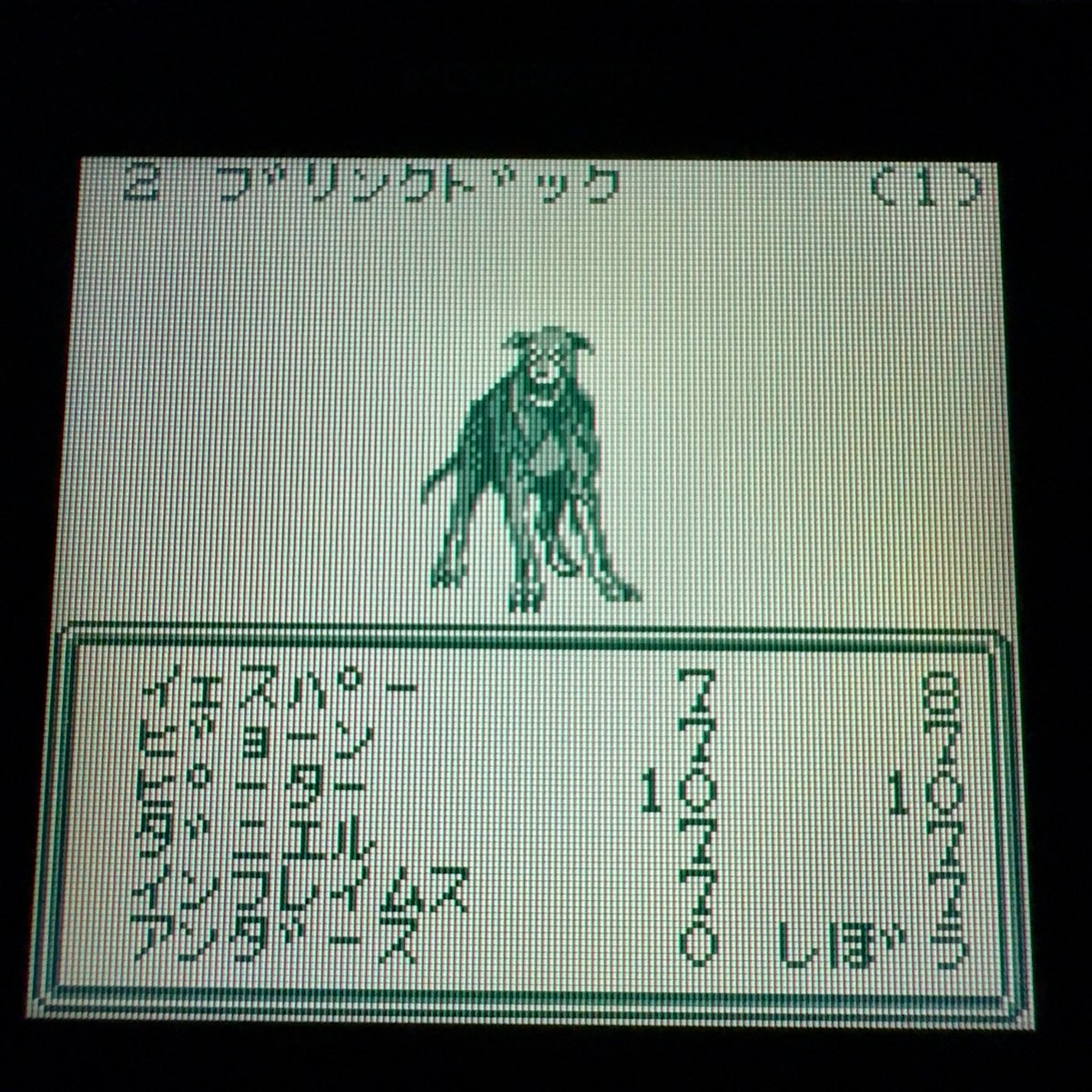 Blaze部族 tweet media