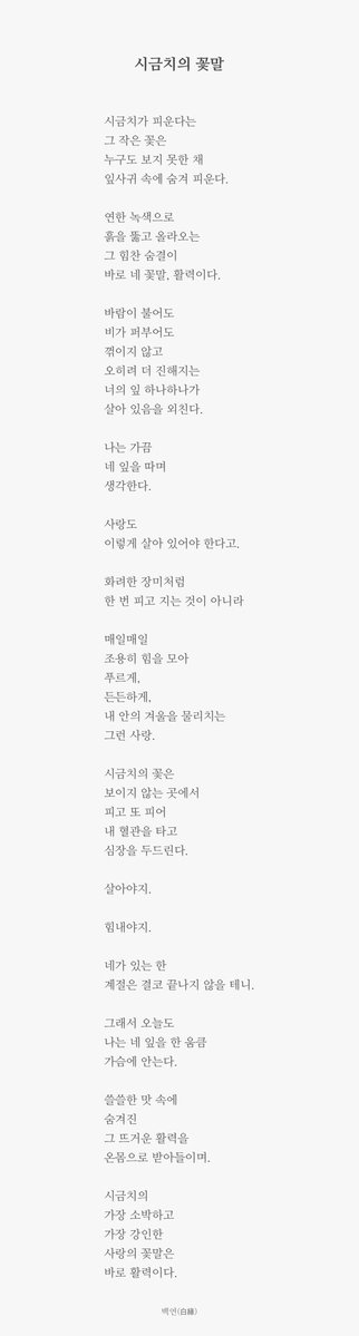 백연(白緣) tweet media