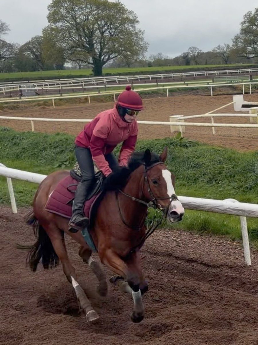 ClosuttonRacing's tweet photo. Our latest recruit, Vinyl Verdict x Jukebox Jury, on the gallops this morning. 

Looking forward to seeing her on a racetrack in the coming weeks. https://t.co/reWtYB5E0J