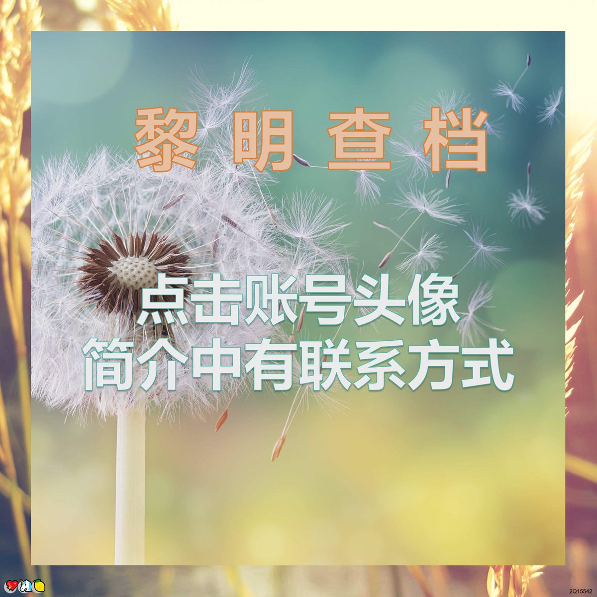 Charles Bullets tweet media