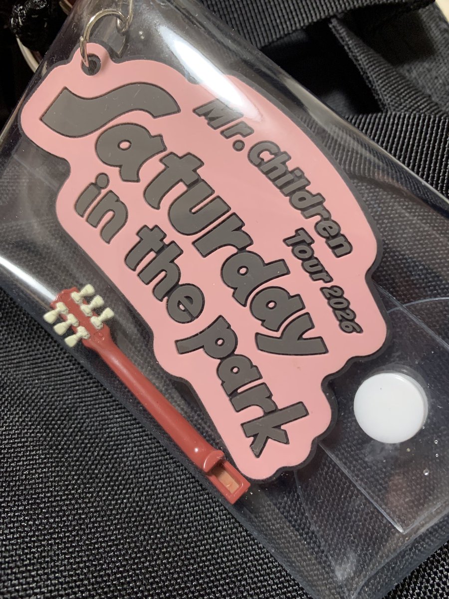 キーホルダーを失くしカバーを付けたのに、レスポール サンバーストの